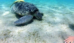 photo (8)